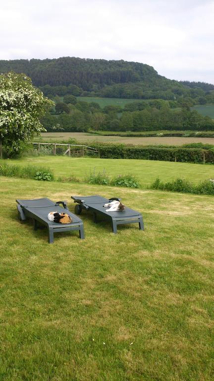 Upper Letton Farm Bed and Breakfast Leintwardine Εξωτερικό φωτογραφία