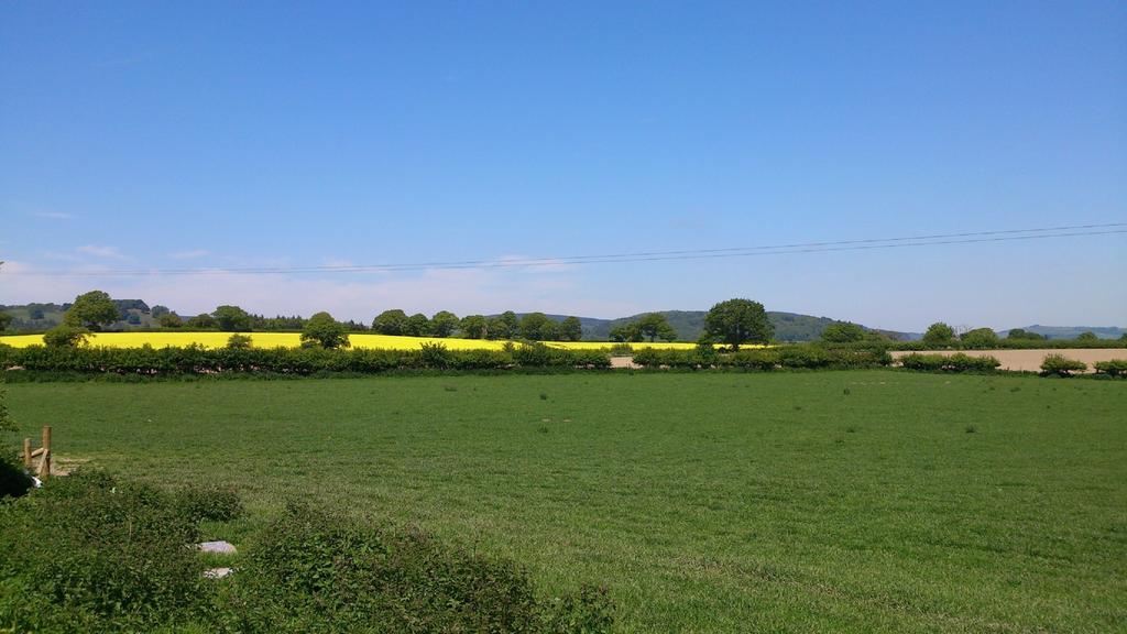 Upper Letton Farm Bed and Breakfast Leintwardine Εξωτερικό φωτογραφία